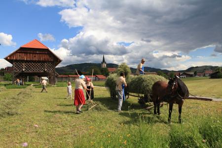 Dežela kozolcev, Foto alenka Stražišar Lmaovšek